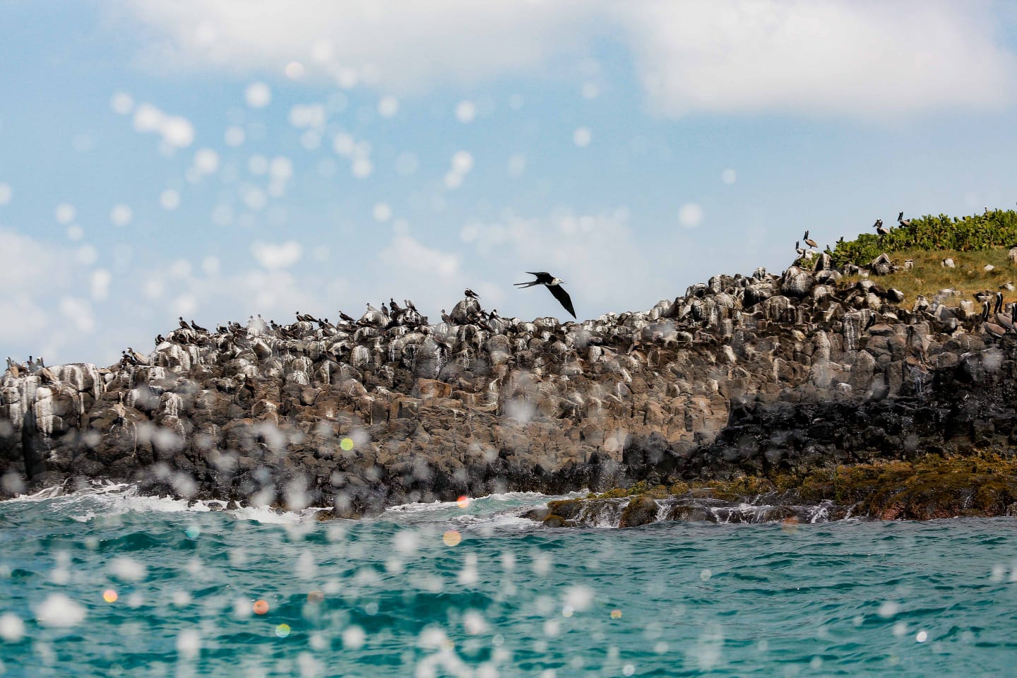 De paseo por el Golfo - 11