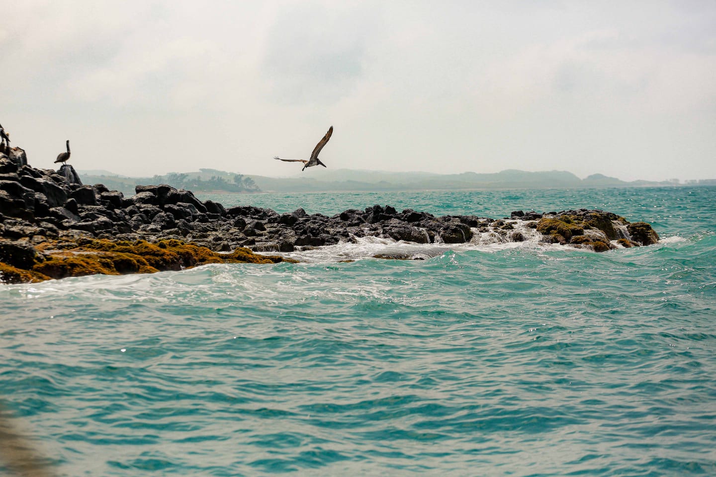 De paseo por el Golfo - 10