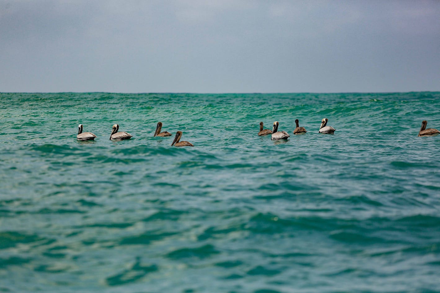 De paseo por el Golfo - 9