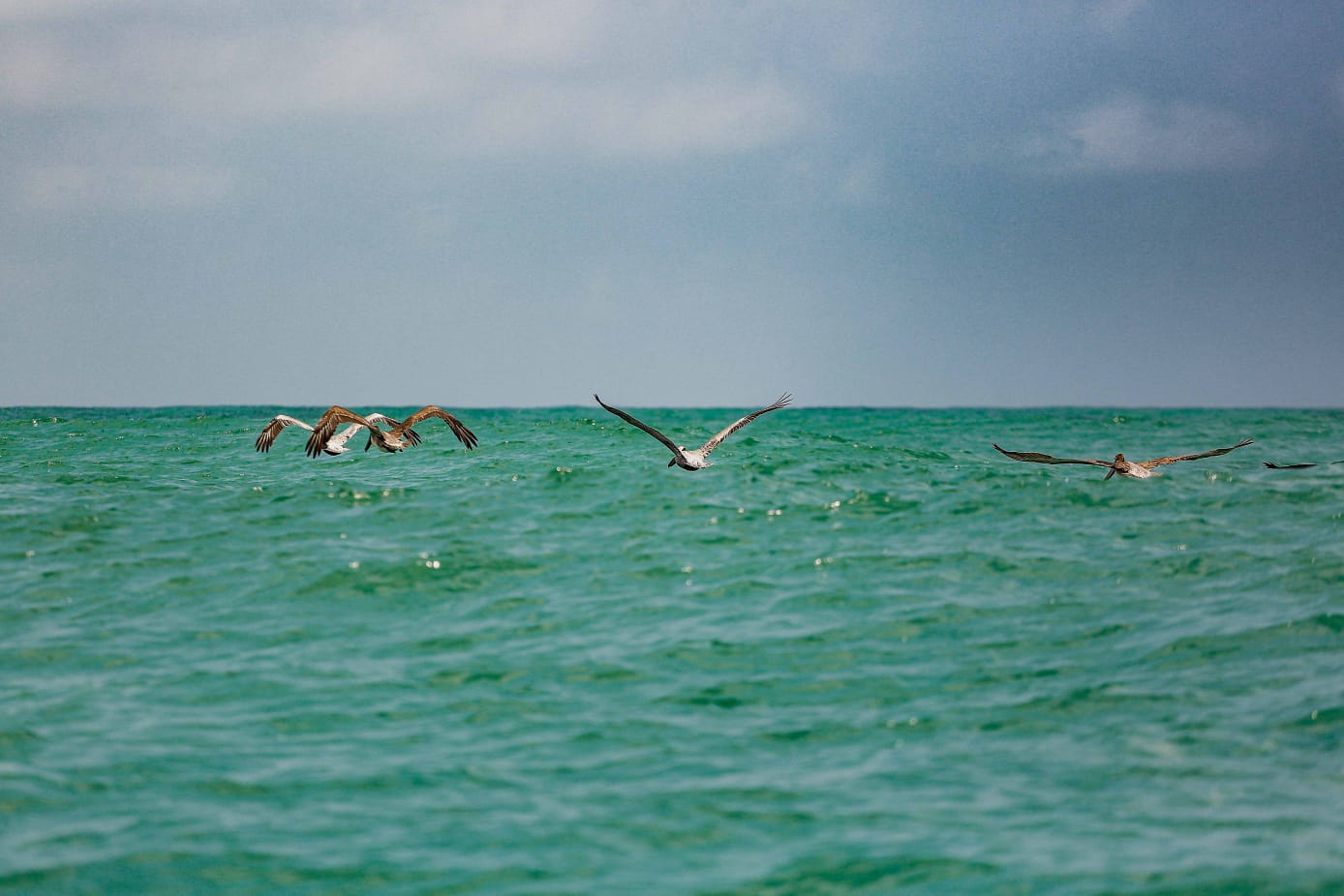 De paseo por el Golfo - 15